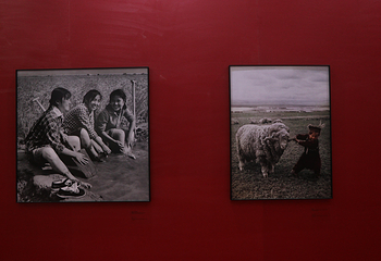春沂(中国国际展览中心新馆)第 10 张图片