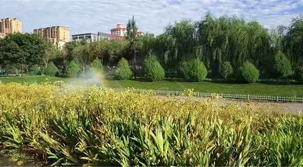 《甘州·夜宴》光影秀