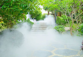 咸宁碧桂园凤凰温泉第 48 张图片