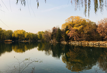 北京大学第 2 张图片