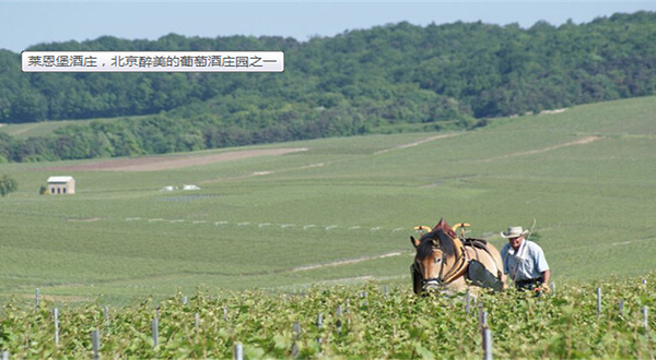 莱恩堡葡萄酒庄园