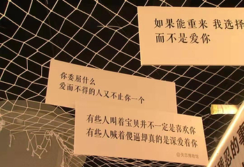 彼岸星空失恋博物馆第 15 张图片