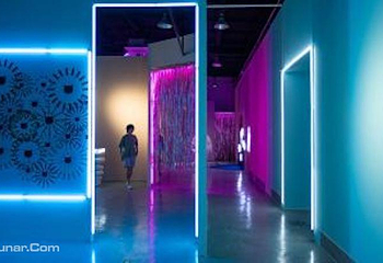 小饼干小罐头小鱼干都没有—猫社美术馆主题展第 2 张图片