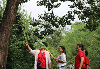 王母山第 5 张图片