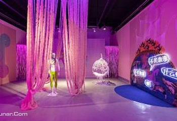 小饼干小罐头小鱼干都没有—猫社美术馆主题展第 4 张图片