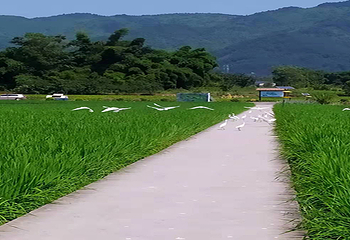 五彩田园第 2 张图片
