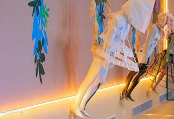 小饼干小罐头小鱼干都没有—猫社美术馆主题展第 3 张图片