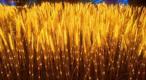 大理网红星空馆