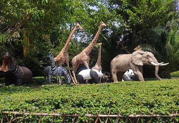 重庆动物园第 37 张图片