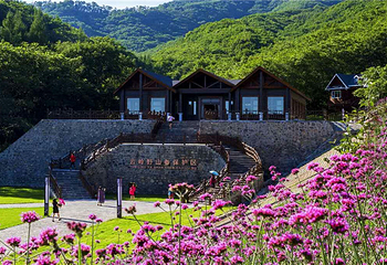 云岭野山参风景区第 3 张图片