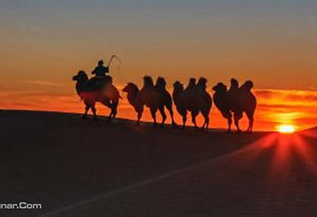 宝古图沙漠旅游区第 3 张图片