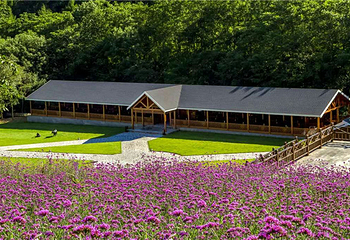 云岭野山参风景区第 5 张图片
