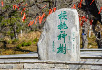 大理苍山云上度假村第 19 张图片