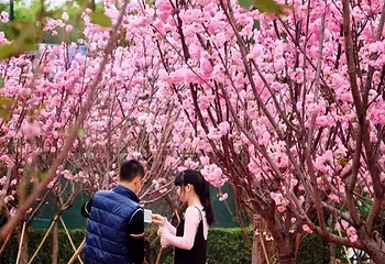 求水山寻龙谷第 4 张图片