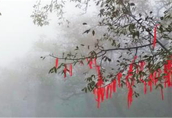 大理苍山云上度假村第 20 张图片