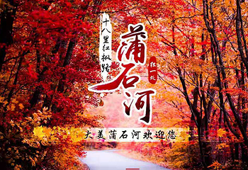 蒲石河森林公园第 5 张图片