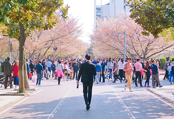 同济大学(四平路校区)第 3 张图片
