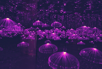 梦幻星空艺术展第 5 张图片