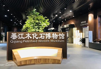 重庆綦江地质公园第 8 张图片