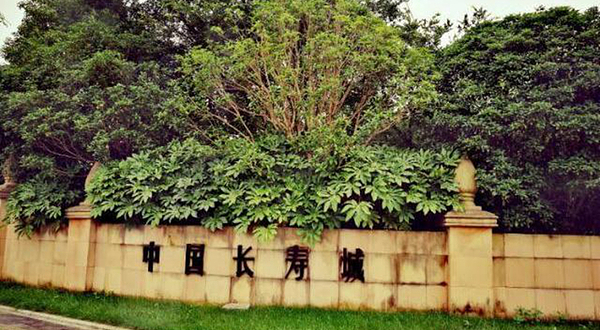 中国长寿城