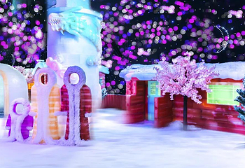 中原绿色庄园冰雪王国第 3 张图片