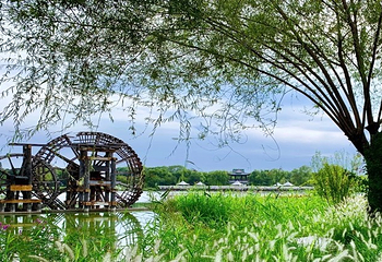 北京国际鲜花港第 2 张图片
