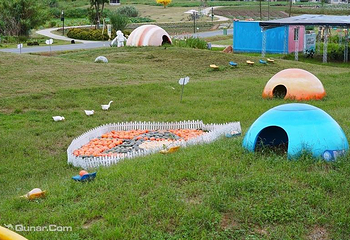 蔚然花海第 110 张图片