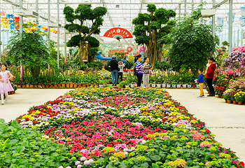 英山四季花海景区第 31 张图片