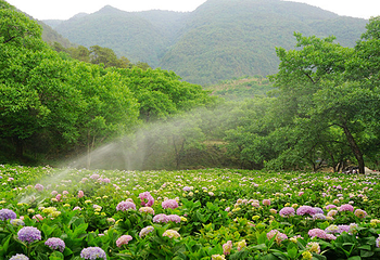 大理苍山云上度假村第 12 张图片