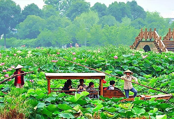 莲荷国乐园第 1 张图片
