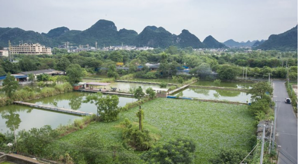 柏纳酒店（桂林芦笛岩店）