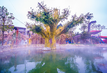 金沙桂花温泉第 6 张图片