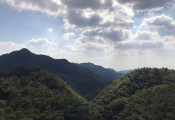 北山村云端天桥第 18 张图片