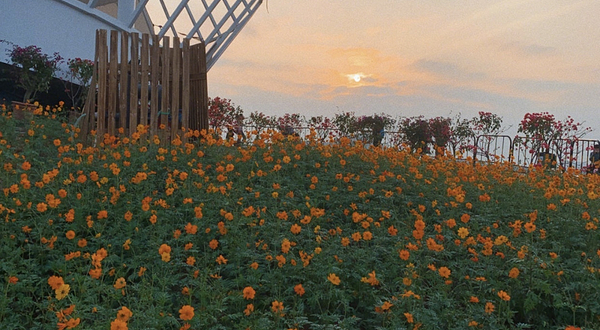 光明小镇瞭望塔