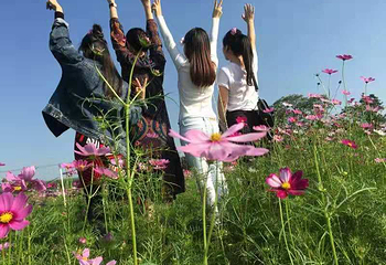 惠州市长荣大观园第 2 张图片
