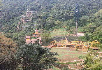 云花谷第 4 张图片