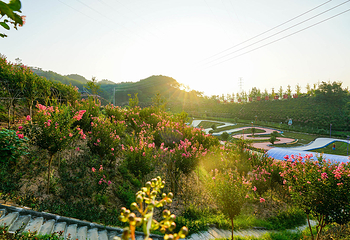 英山四季花海景区第 29 张图片
