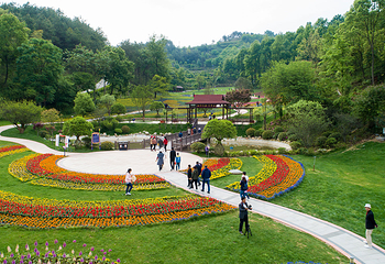 英山四季花海景区第 25 张图片