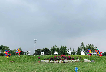 童趣欢乐世界第 10 张图片