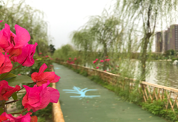 东江印象特色农业园第 8 张图片