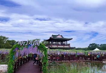 北京国际鲜花港第 11 张图片