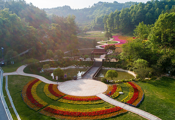 英山四季花海景区第 23 张图片