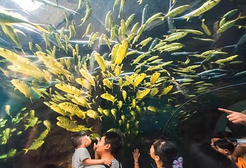 龙门海洋馆第 6 张图片