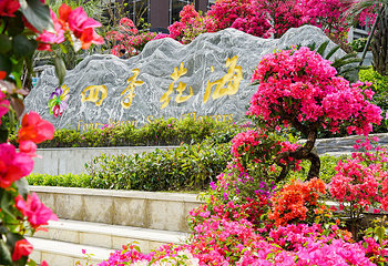 英山四季花海景区第 3 张图片