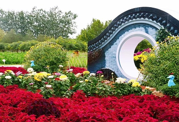 北京国际鲜花港第 33 张图片