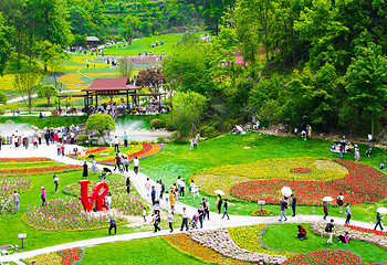 英山四季花海景区第 11 张图片