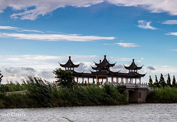 泗洪洪泽湖湿地景区第 12 张图片