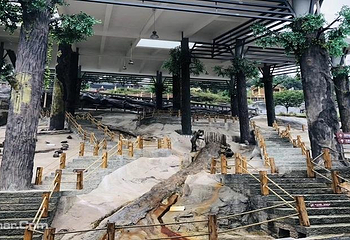 重庆綦江地质公园第 9 张图片