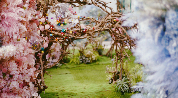 北京《夏日好梦计划》花木主题沉浸式集合展