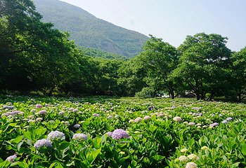 大理苍山云上度假村第 10 张图片